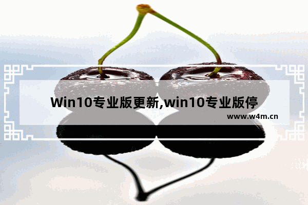 Win10专业版更新,win10专业版停止自动更新