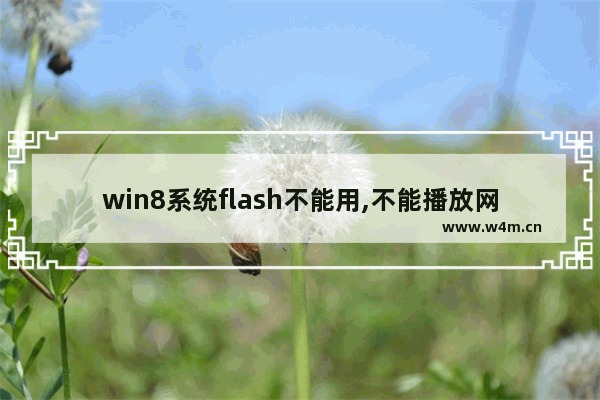 win8系统flash不能用,不能播放网页flash视频怎么办