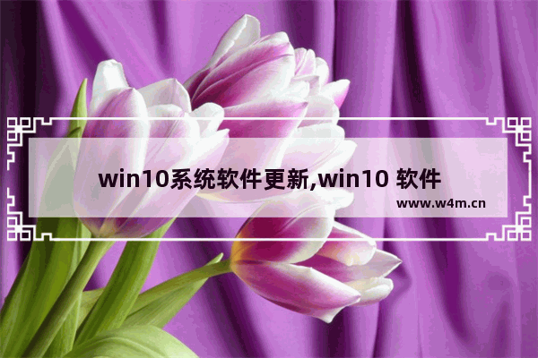 win10系统软件更新,win10 软件更新