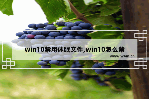 win10禁用休眠文件,win10怎么禁用文件