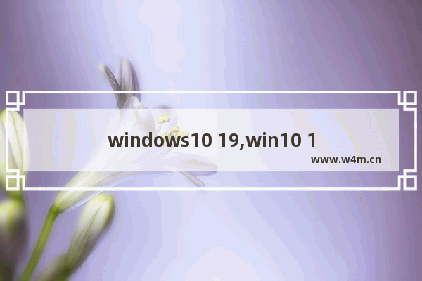 windows10 19,win10 1709 1803