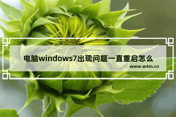 电脑windows7出现问题一直重启怎么办,win7开机到windows就重启