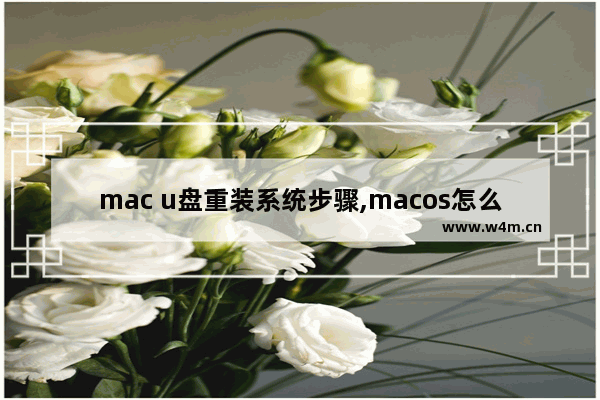 mac u盘重装系统步骤,macos怎么用u盘重装