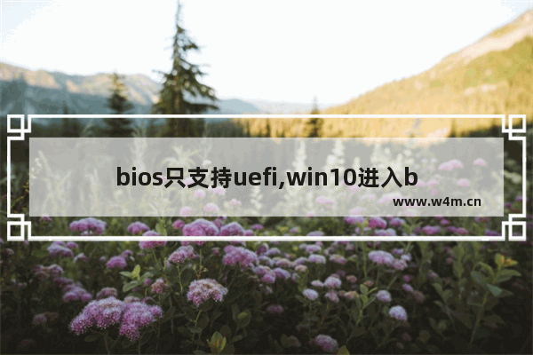 bios只支持uefi,win10进入bios没有uefi