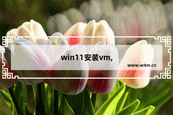 win11安装vm,