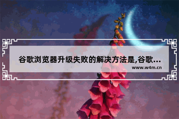 谷歌浏览器升级失败的解决方法是,谷歌浏览器升级失败的解决方法是