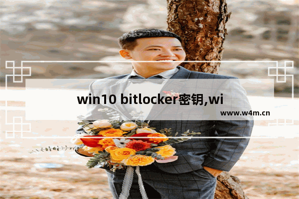 win10 bitlocker密钥,win10密码怎么取消pin