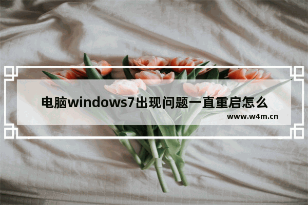 电脑windows7出现问题一直重启怎么办,win7开机到windows就重启