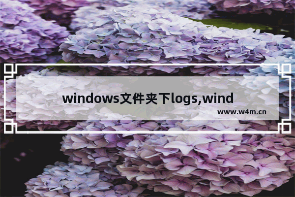 windows文件夹下logs,window10没有Logfiles文件夹