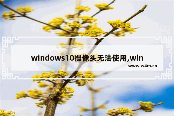 windows10摄像头无法使用,win10检测不到内置摄像头