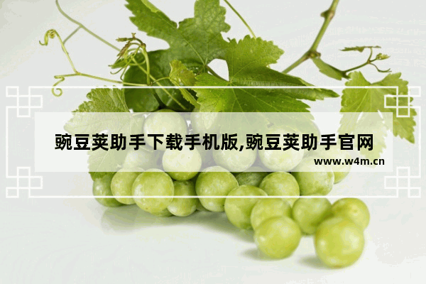 豌豆荚助手下载手机版,豌豆荚助手官网