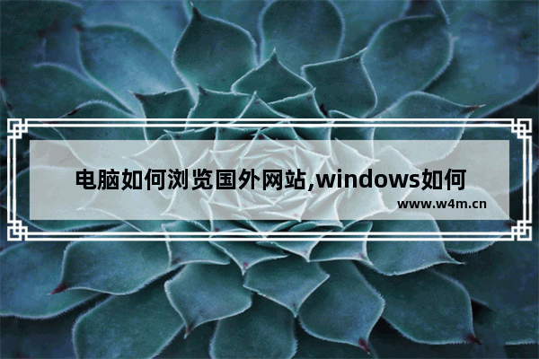 电脑如何浏览国外网站,windows如何访问国外的网站