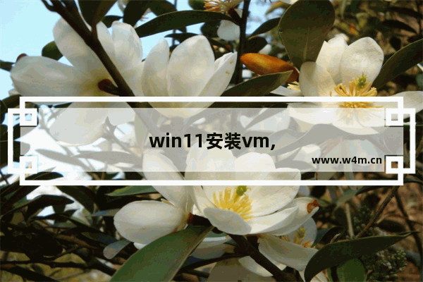 win11安装vm,