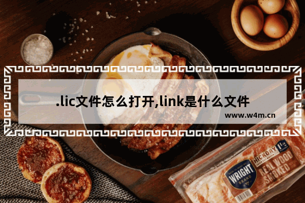 .lic文件怎么打开,link是什么文件