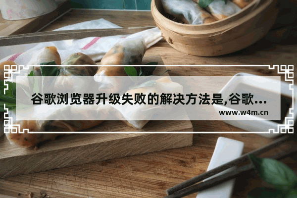 谷歌浏览器升级失败的解决方法是,谷歌浏览器升级失败的解决方法是