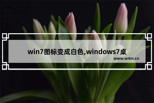 win7图标变成白色,windows7桌面图标变成白色文件