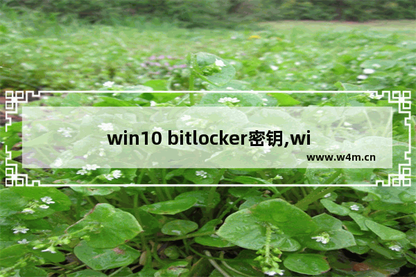 win10 bitlocker密钥,win10密码怎么取消pin