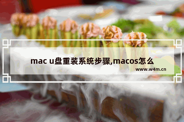 mac u盘重装系统步骤,macos怎么用u盘重装