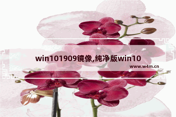 win101909镜像,纯净版win10镜像