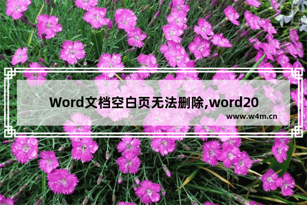 Word文档空白页无法删除,word2016空白页删不掉