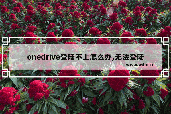 onedrive登陆不上怎么办,无法登陆onedrive怎么回事