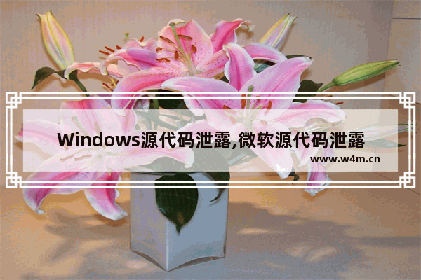 Windows源代码泄露,微软源代码泄露