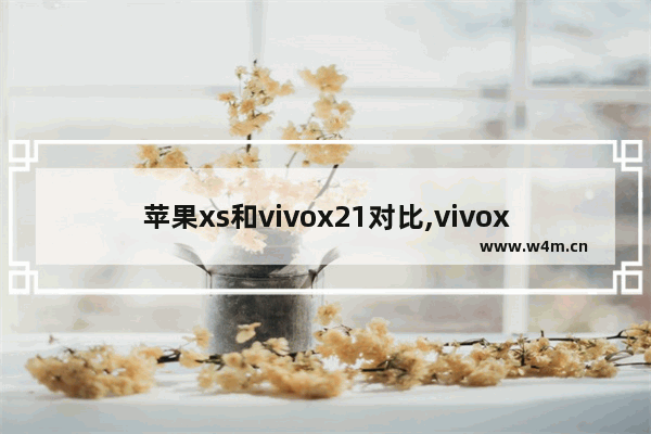 苹果xs和vivox21对比,vivox20plus和x21哪个好