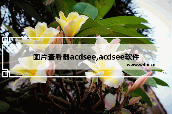 图片查看器acdsee,acdsee软件和美图看看都可以进行图像文件格式的转换