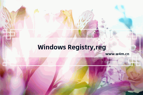 Windows Registry,registry_error win10