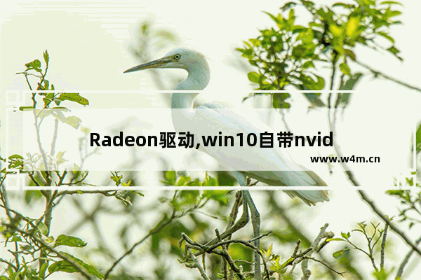 Radeon驱动,win10自带nvidia驱动