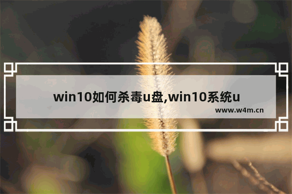 win10如何杀毒u盘,win10系统u盘