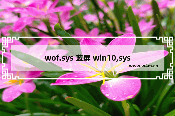 wof.sys 蓝屏 win10,sysdiagwin10sys蓝屏