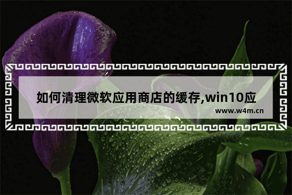 如何清理微软应用商店的缓存,win10应用商店占用大量内存_3