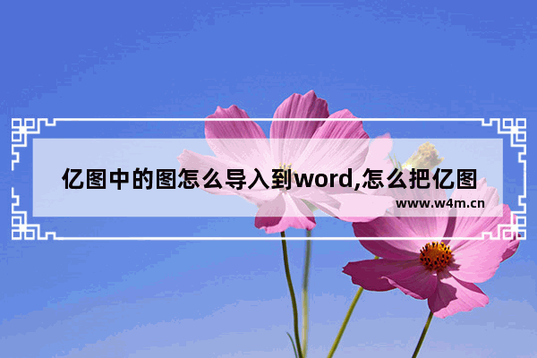 亿图中的图怎么导入到word,怎么把亿图做的图放到Word