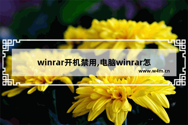 winrar开机禁用,电脑winrar怎么打开