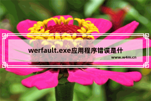 werfault.exe应用程序错误是什么原因,win10wer fault-werfault.exe应用程序错误