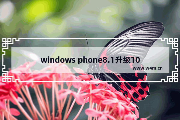 windows phone8.1升级10,Windows Phone 8.1