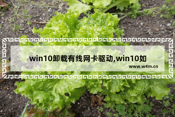 win10卸载有线网卡驱动,win10如何卸载网卡驱动程序