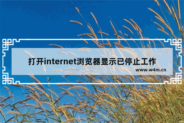 打开internet浏览器显示已停止工作,