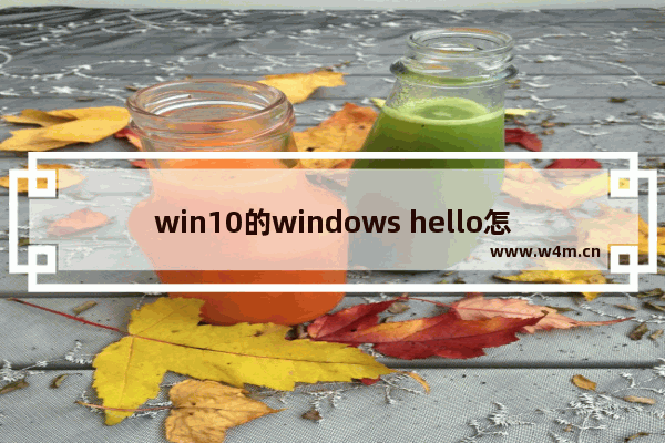 win10的windows hello怎么退出设置,window10 hello如何开启