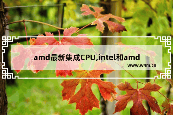 amd最新集成CPU,intel和amd最新处理器