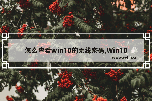 怎么查看win10的无线密码,Win10如何查看无线网密码