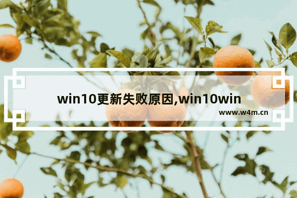 win10更新失败原因,win10windows更新失败怎么办