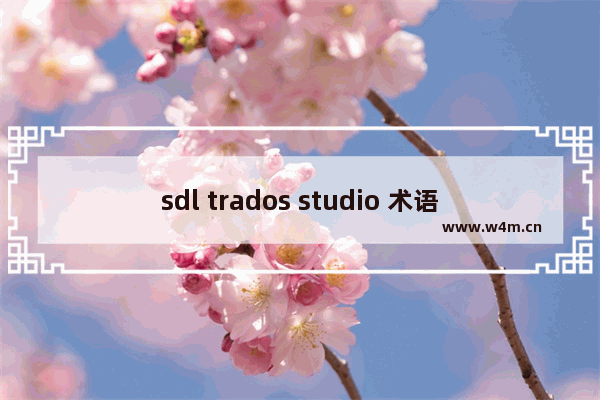 sdl trados studio 术语库,sdl trados studio怎么用