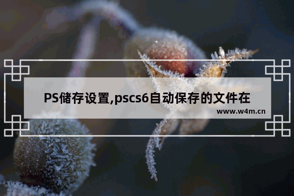 PS储存设置,pscs6自动保存的文件在哪里