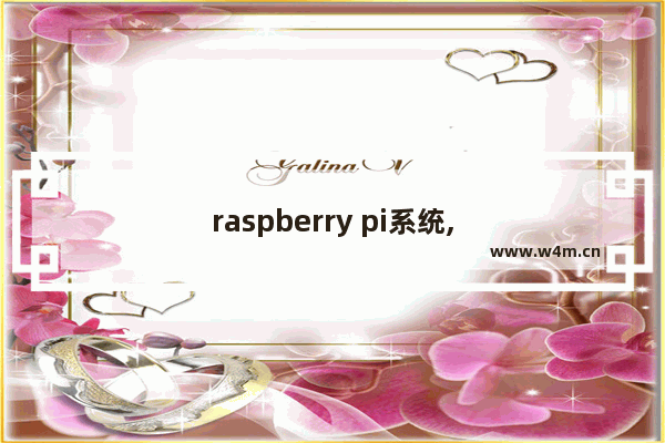 raspberry pi系统,