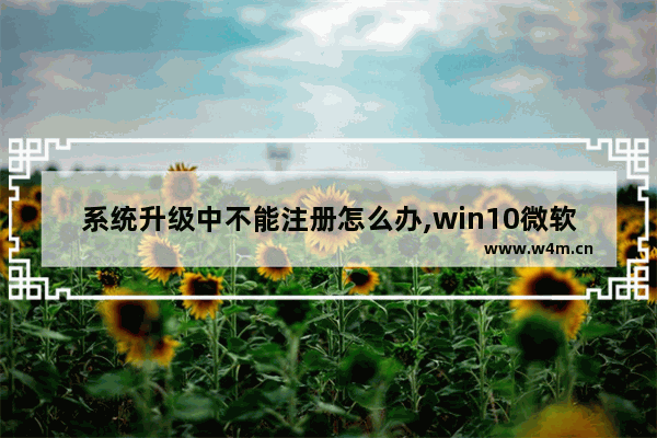 系统升级中不能注册怎么办,win10微软账户注册页面加载不进去