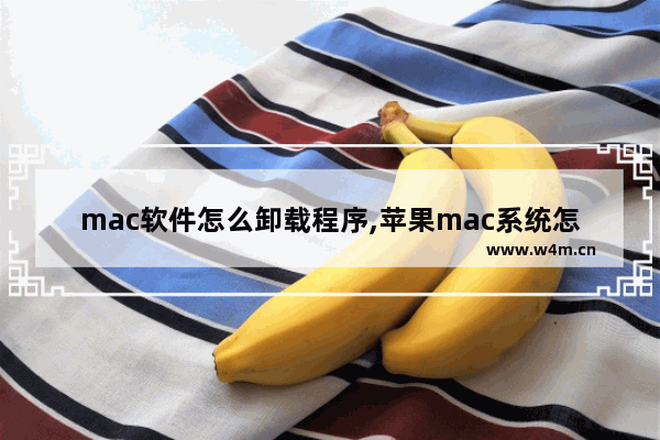 mac软件怎么卸载程序,苹果mac系统怎么卸载软件