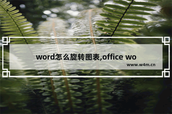 word怎么旋转图表,office word怎么旋转图片