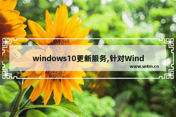 windows10更新服务,针对Windows10的功能更新